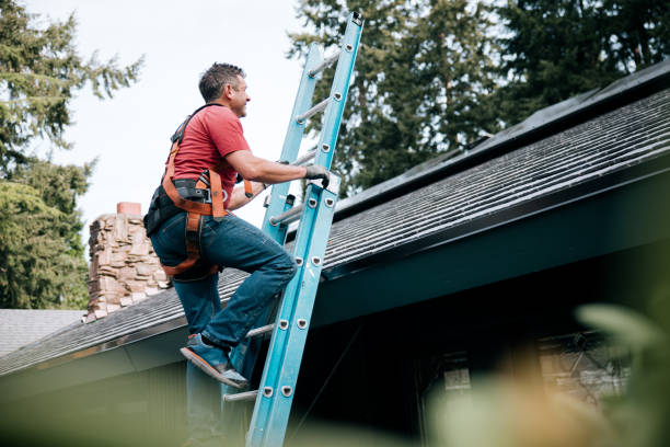 Best Roof Maintenance and Cleaning  in Biltmore, TN